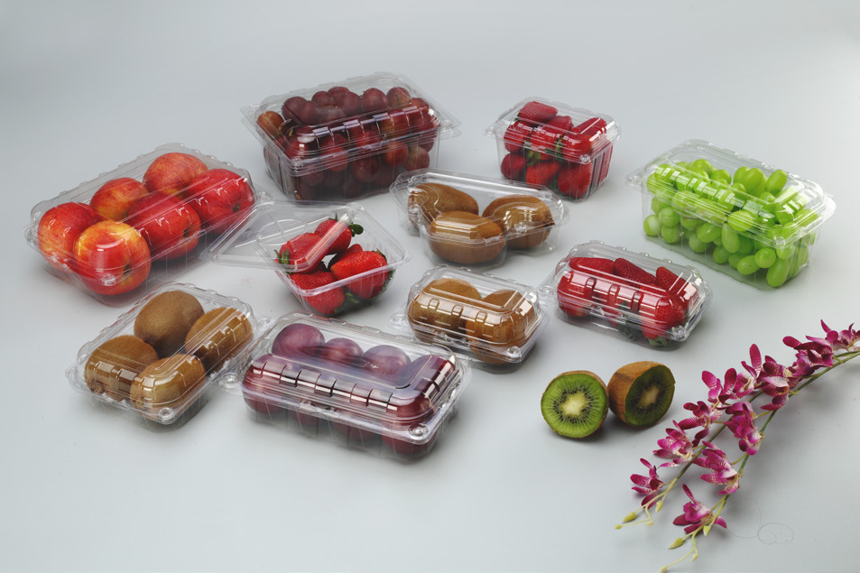 PET Fruit Punnets